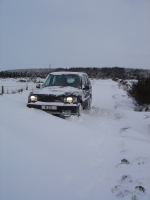 17th Dec 2010 013